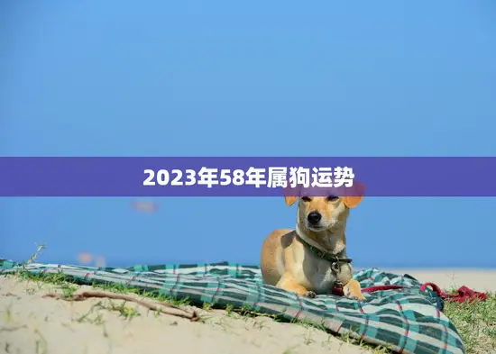 2023年58年属狗运势(狗年大展宏图)