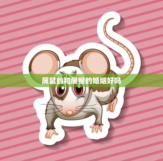 属鼠的和属猴的婚姻好吗(星座专家揭秘这两个属相的配对有哪些优缺点)