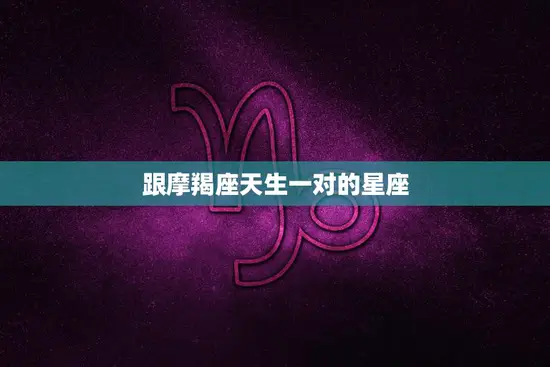 跟摩羯座天生一对的星座(完美匹配处女座)