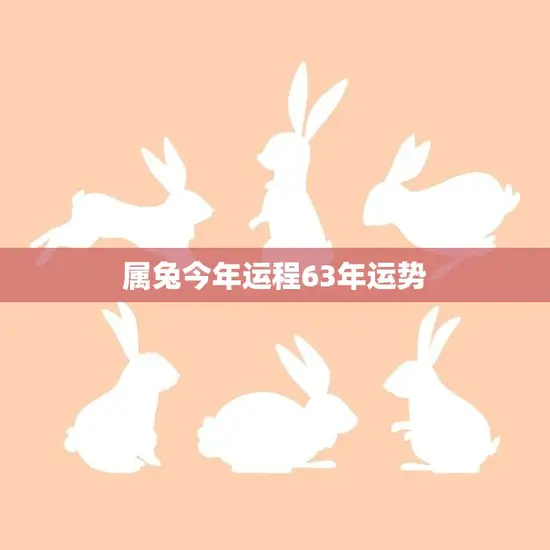 属兔今年运程63年运势(如何把握机会迎接好运)
