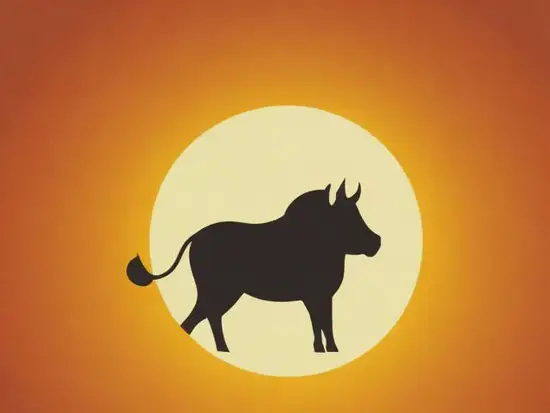 12生肖命格弱点盘点：补足运势必看指南