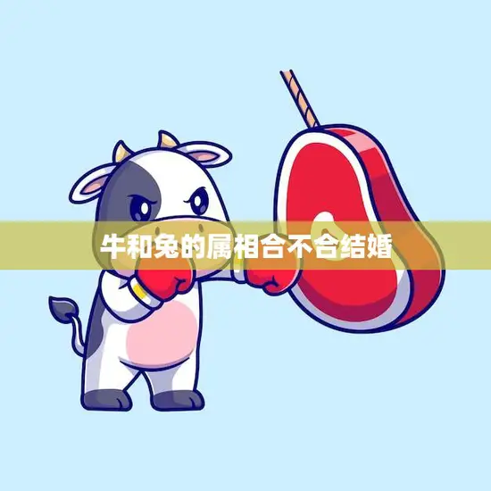 牛和兔的属相合不合结婚(看看这些关键因素)