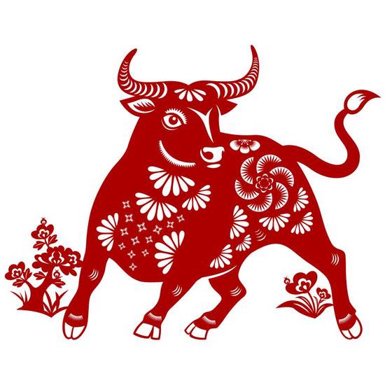 马配牛的生肖最好的属相(揭秘哪个属相最佳)