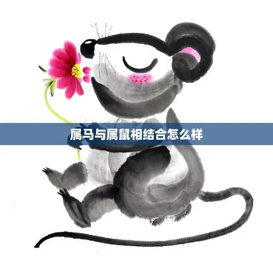 属马与属鼠相结合怎么样(解析马鼠组合的优缺点)
