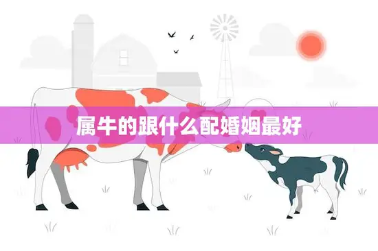 属牛的跟什么配婚姻最好(最佳婚配星座大揭秘)