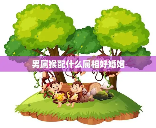 男属猴配什么属相好婚姻(如何选择最佳婚姻对象)