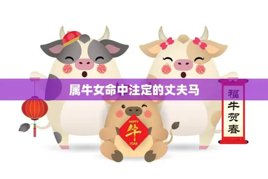 属牛女命中注定的丈夫马(如何找到你的真命马)