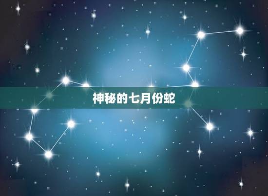 七月份的蛇是什么性格(介绍神秘、独立还是敏锐)