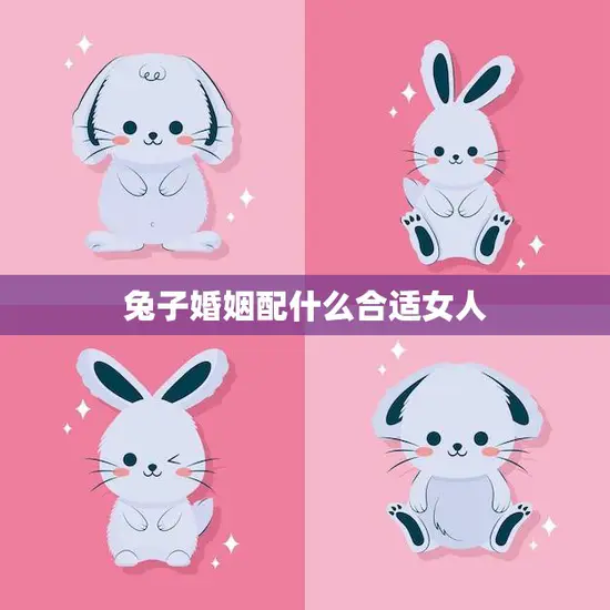 兔子婚姻配什么合适女人(如何选择最佳婚姻伴侣)