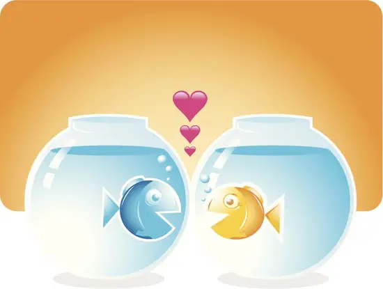 金星双鱼代表人物是什么(探寻双鱼座金星的神秘代表人物)