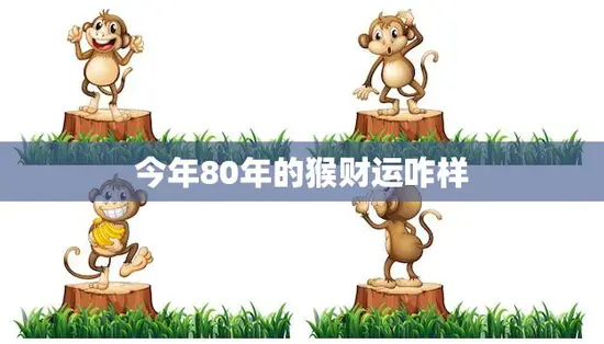 今年80年的猴财运咋样(猴年老猴精财运旺盛)