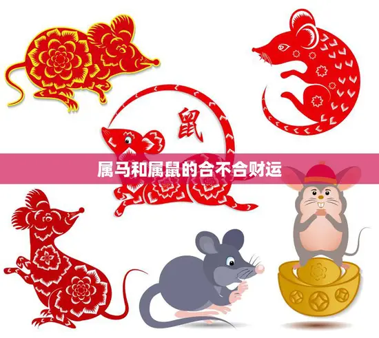 属马和属鼠的合不合财运(如何影响你的财富)