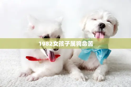 1982女孩子属狗命苦(如何化解命运难题)