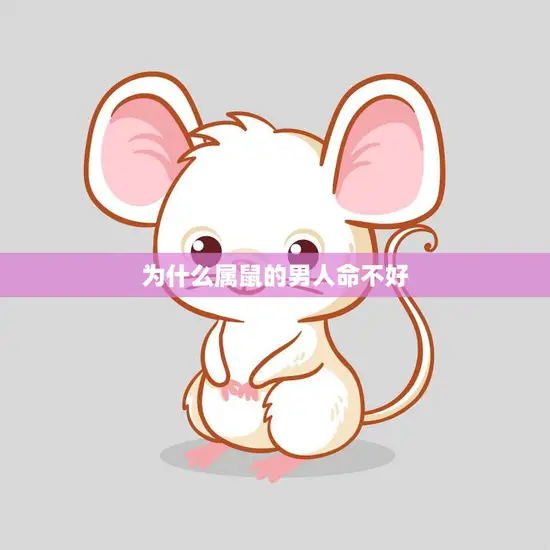 为什么属鼠的男人命不好(探究命理学解析与现实案例分析)
