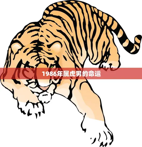 1986年属虎男的命运(未来之路挑战与机遇)