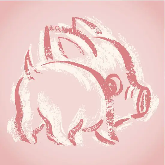 1947年属猪人什么命(属猪人的性格特点和运势分析)