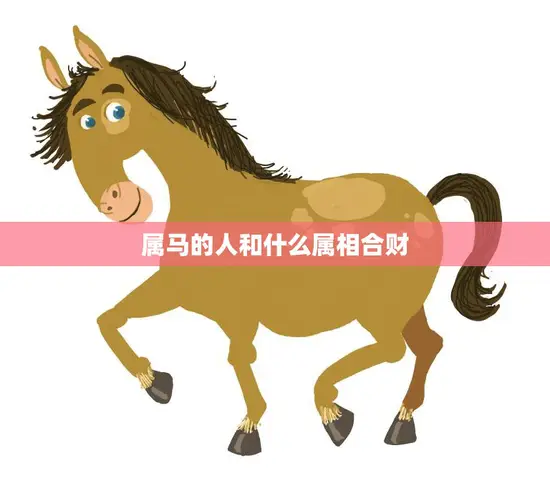 属马的人和什么属相合财(如何提升财运)