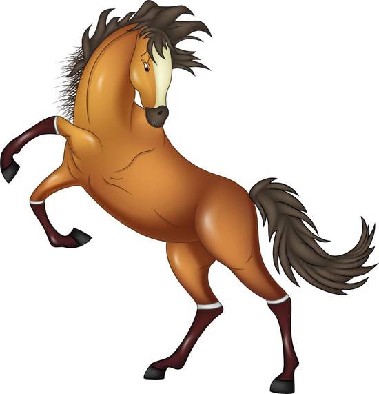 1966年马是什么命运(马到成功还是遭遇波折)