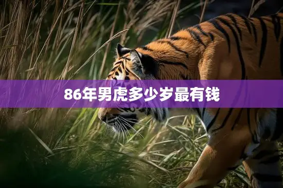 86年男虎多少岁最有钱(揭秘这个年龄段的男虎最有可能成为富豪)
