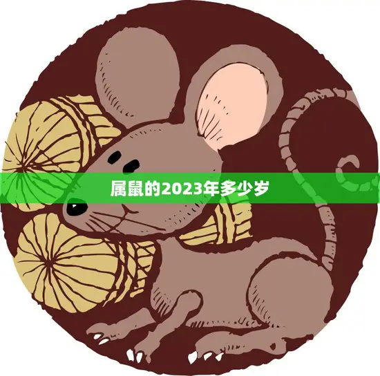 属鼠的2023年多少岁(你准备好了吗)