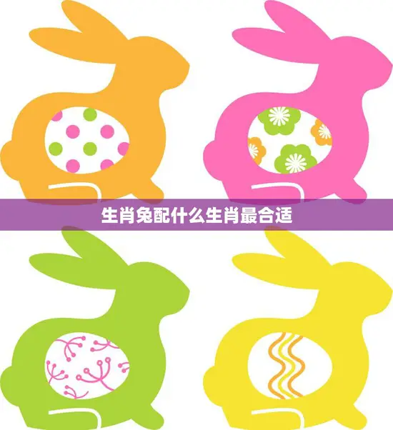 生肖兔配什么生肖最合适(最佳搭档大揭秘)