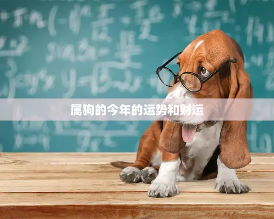 属狗的今年的运势和财运(如何)