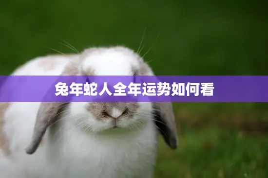 兔年蛇人全年运势如何看(解析2023年运势)