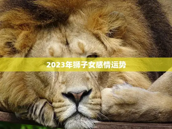 2023年狮子女感情运势(爱情大起大落要学会坚持和放手)