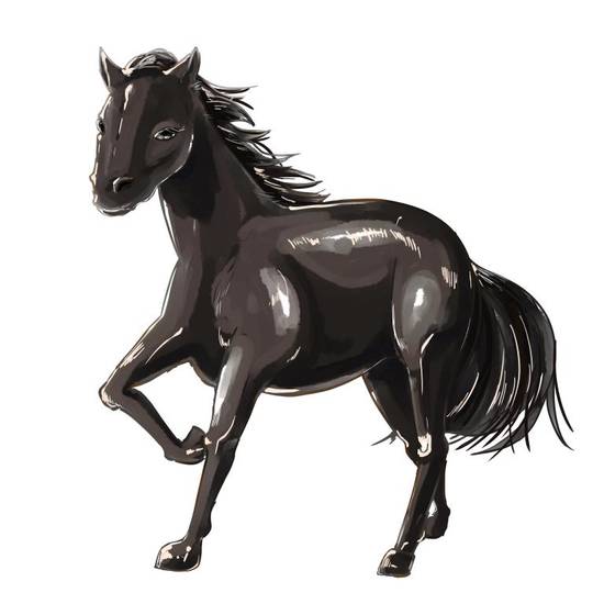 1978年属马女的婚姻(如何避免婚姻危机)