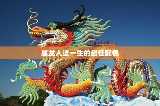 属龙人这一生的最佳配偶(如何选择)