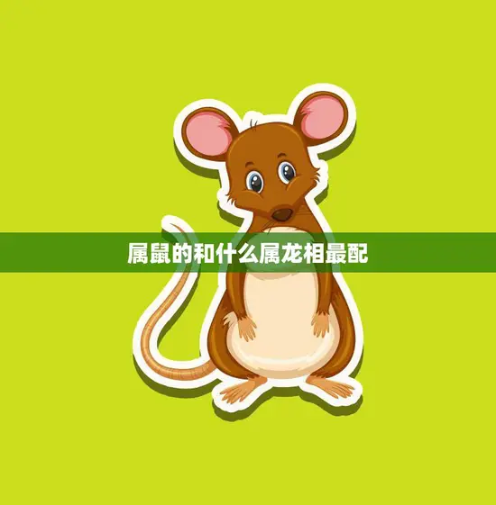 属鼠的和什么属龙相最配(寻找最佳配对)