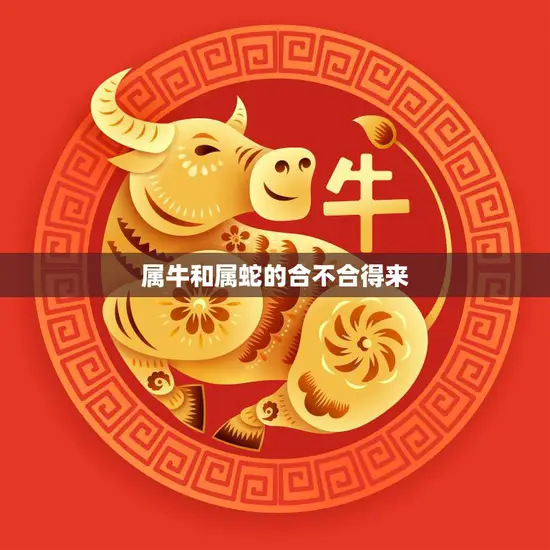 属牛和属蛇的合不合得来(如何相处)