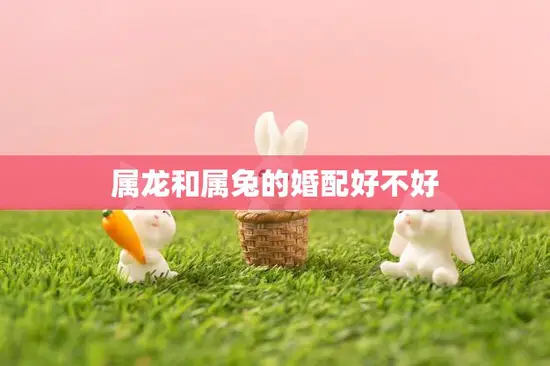 属龙和属兔的婚配好不好(探究缘分还是劫数)