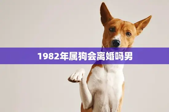 1982年属狗会离婚吗男(婚姻前景如何)