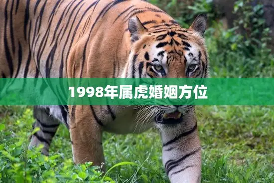 1998年属虎婚姻方位(如何选择最佳结婚地点)