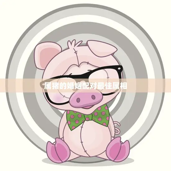 属猪的婚姻配对最佳属相(如何选择最适合的伴侣)