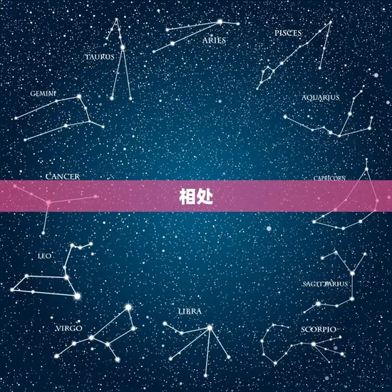 女猴男猪大三岁的婚姻(跨越生肖区别的爱情之路)