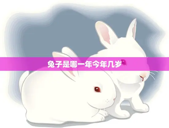 兔子是哪一年今年几岁(如何计算兔子的年龄)