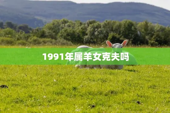 1991年属羊女克夫吗(解析属羊女的婚姻运势)