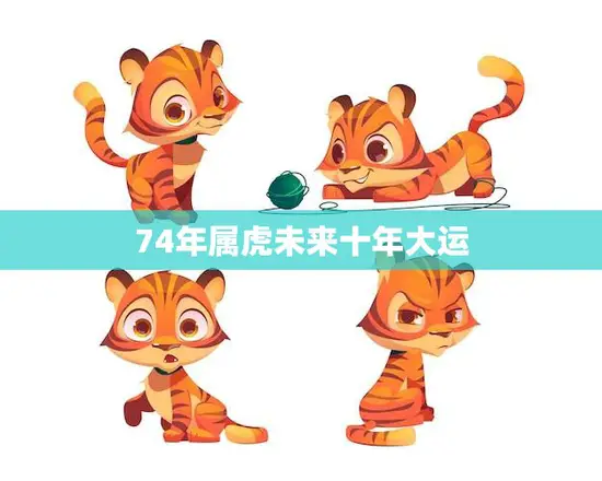 74年属虎未来十年大运(独具慧眼迎接新挑战)