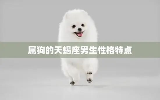 属狗的天蝎座男生性格特点(深情且独立善于掌控局面)