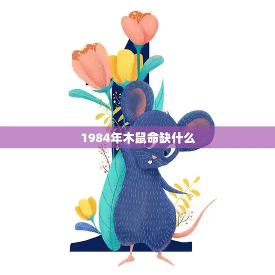 1984年木鼠命缺什么(探寻木鼠命运的短板)