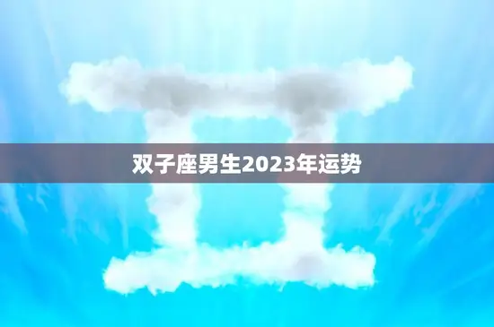 双子座男生2023年运势(聪明机智财运亨通)