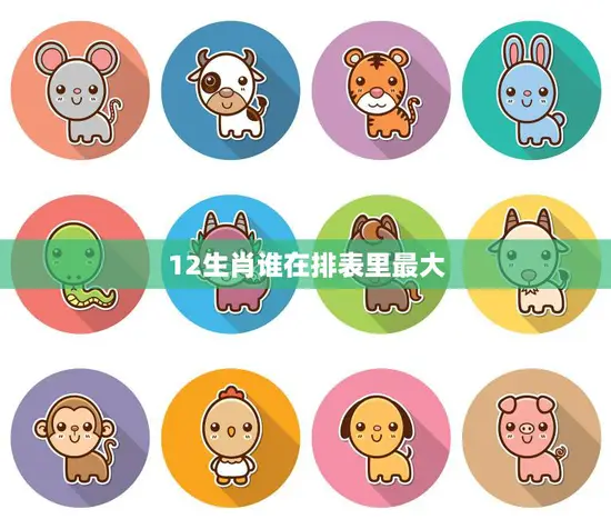 12生肖谁在排表里最大(排行榜揭晓)