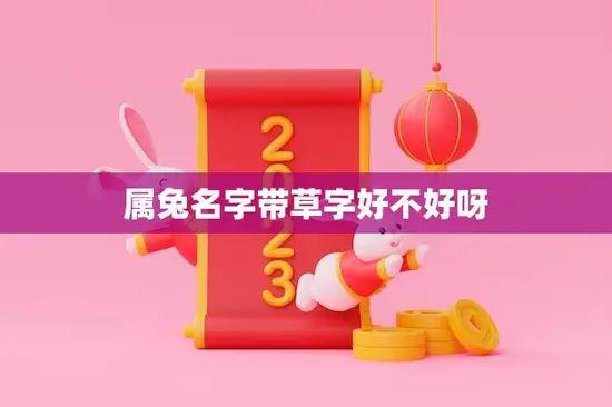 属兔名字带草字好不好呀(草字名字更有灵气)