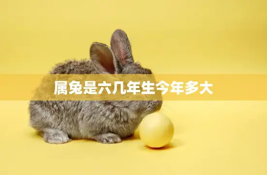 属兔是六几年生今年多大(如何计算属兔人的年龄)