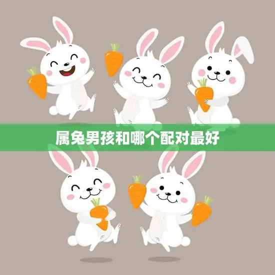 属兔男孩和哪个配对最好(星座专家为你解析最佳组合)