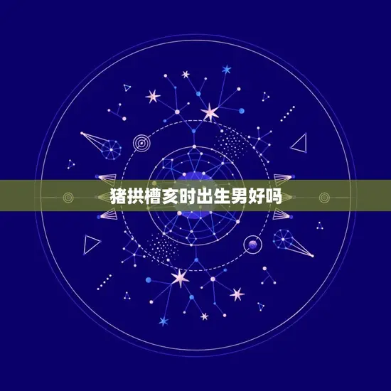 猪拱槽亥时出生男好吗(介绍猪拱槽亥时男孩的性格特点)