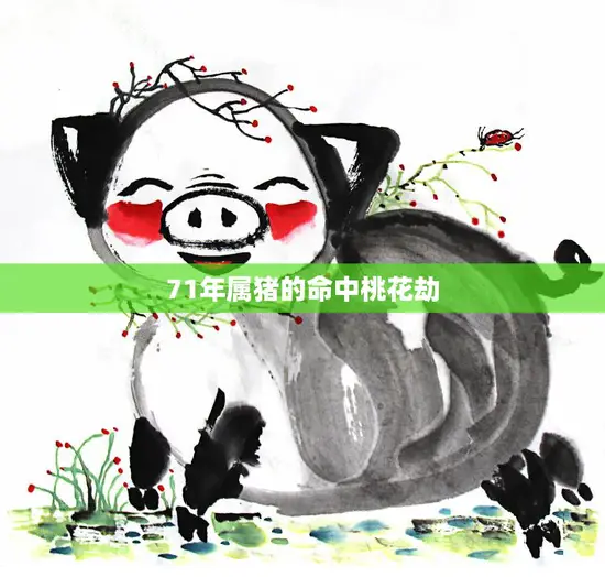 71年属猪的命中桃花劫(如何化解)