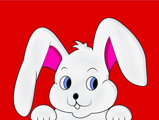 生肖属兔的人五行属什么(探究兔子人的五行属性)